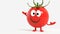 Whimsical Tomato Character: A Cartoon Doll Set Against a White Background in