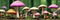 Whimsical vibrant mushroom forest. Oversized fungi of varied hues paint a surreal, otherworldly scene