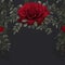 Whimsical Vineyard Bliss - Red Rose Flower Wedding Invitation