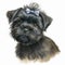 Whimsical Watercolor Illustration of Affenpinscher Pupp AI Generated
