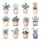 Whimsical Watercolor Succulents In Soft Pastel Colors