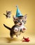 Whimsical Whiskers: A Kitten\\\'s Playful Leap