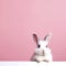 Whimsical White Rabbit on Pink Background. Easter Concept. Generative AI