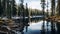 Whimsical Wilderness: A Stunning 32k Uhd Image Of A Snowy Forest Lake