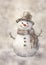Whimsical Winter Wonderland: A Playful Portrait of a Snowman and