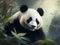 Whimsical Wonders: Captivating Panda Canvas