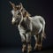 Whimsical Wonders: Singular Majesty of the Dwarf Unicorn Donkey