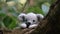 Whimsical Woolen Koala in Forest: Amigurumi Delight, Generative AI