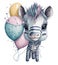 Whimsical Zebra with Her Party Balloons Painting Watercolors White Background AI Generated