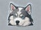 Whimsically Dizzy: Siberian Husky Vector Sticker Set with Amusing Cartoon Designs