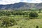 Whin Rigg behind verdant fields, Lake District