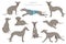 Whippet clipart. Different poses, coat colors set