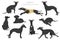 Whippet clipart. Different poses, coat colors set