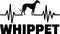 Whippet heartbeat word