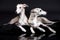 Whippets tvo dogs