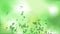 Whirling Green Leaf -Bokeh background