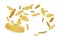 Whirlwind of flying round glossy gold coins on a white background. Vector