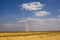 Whirlwind forms a dust pillar in the desert