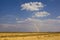 Whirlwind kick up dust on the plain in the desert