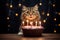 Whisker Wonderland: In the glow of candlelight, a cat contemplates a cake, marking a feline's special day. The