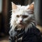 Whisker Wonders Unveiled: The Stylish Cat\'s Legacy of Effortless Swag