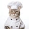 Whiskered Gourmet: Cat in Chef Costume Isolated on White Background. Generative ai