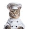 Whiskered Gourmet: Cat in Chef Costume Isolated on White Background. Generative ai