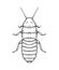 Whiskered Madagascar cockroach. Vector illustration in cartoon style on a white background.
