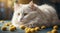 Whiskered Wonder: Adorable White Cat