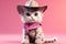 From Whiskers to Western: A 3D Cat\\\'s Dream of Cowboy Life Realized on Pink Gradient Background