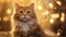 Whiskers of Wonder: Playful Christmas Cat Amidst Bokeh Magic