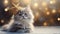 Whiskers and Wonders: Christmas Cat Amidst Bokeh Holiday Splendor
