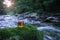 Whiskey in a glass on the stone with moss in river background