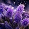 Whispering Fragrance: A Close-up View of a Fragrant Lavender Blossom