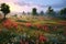 Whispering Meadows: serene panorama of gently swaying meadows adorned with vibrant wildflowers