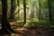 Whispering Woods: serene panorama of a mystical forest with sun rays filtering through the canopy, creating a play of light