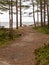 Whispering Woods Trail: A Rustic Pathway Revealing the Sea\\\'s Tranquil Charm