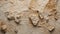 Whispers of the Earth: Fossilized Limestone Visuals. AI generate