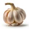 Whispers of Flavor: A Captivating Garlic\\\'s Alluring Essence