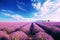 Whispers of Lavender in a Blissful Blue Sky, Generative AI