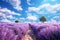 Whispers of Lavender in a Blissful Blue Sky, Generative AI