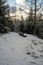 Whispers of Winter: Bench Amidst Snow-Clad Firs in Dobele, Latvija