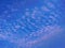 Whispy cirrus undulatus clouds in the morning