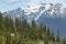 Whistler landscape with forest and mountains. British Columbia.