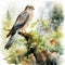 Whistlerian Watercolor Illustration Of Hawk In Idyllic Setting