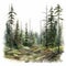 Whistlerian Watercolor Illustration Of Taiga Forest In Detailed Realism