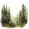 Whistlerian Watercolor Illustration Of Taiga Forest In Hazy Landscape