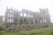 Whitby Abbey castle taken in deep fog