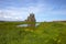 Whitby Abbey - the perfect place