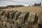 Whitby Abby - stones and meadows.